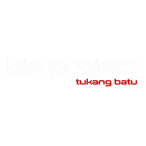 logo500x500_bie project